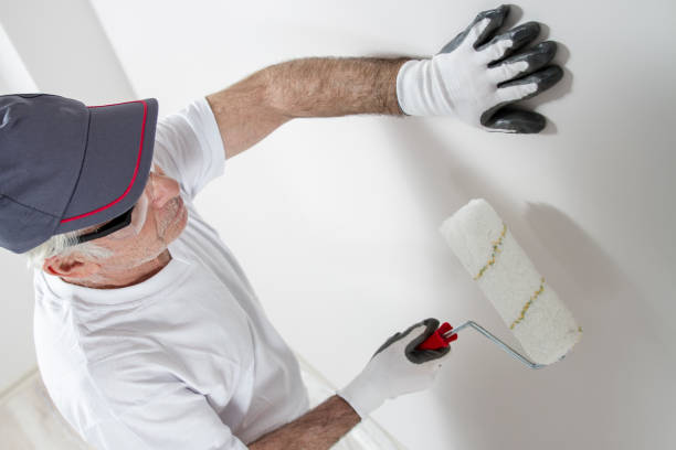 Reliable Wellston, OH Mold Removal Solutions