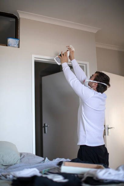 Best Environmental Consulting for Mold Prevention  in Wellston, OH