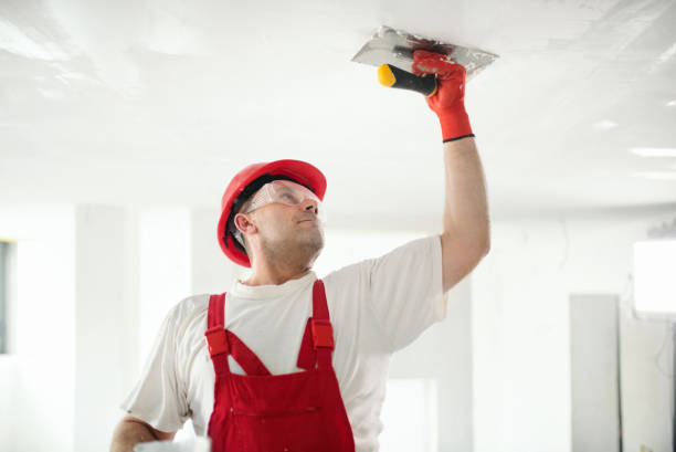 Best Forensic Mold Investigation  in Wellston, OH
